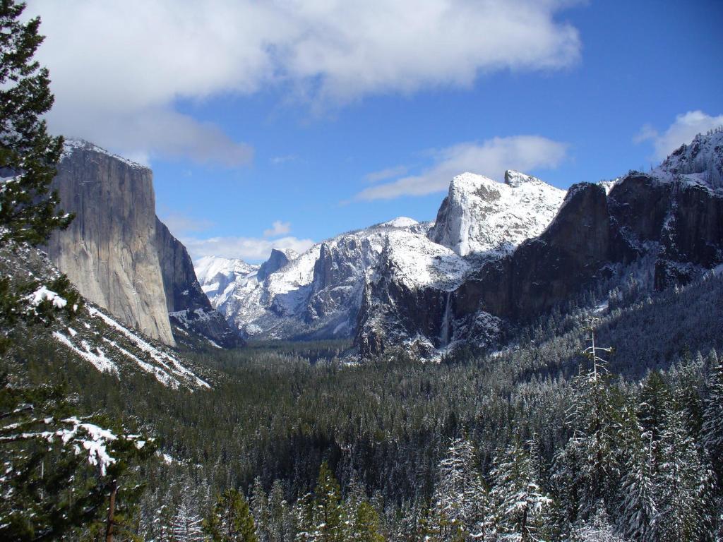 Yosemite Sierra View Bed & Breakfast Oakhurst Zewnętrze zdjęcie